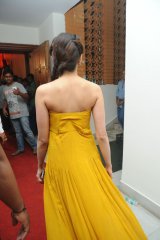 Pranitha at Alludu Seenu Audio Launch
